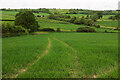 Farmland near Buckland Newton