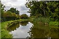 SJ6770 : Trent & Mersey Canal by Peter McDermott