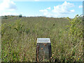 Five Knolls information, Dunstable Downs