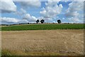 SE8646 : Sloping fields near Londesborough by DS Pugh