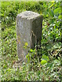 Old Boundary Marker in Belmont Haywood Country Park