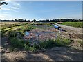 TF2505 : Construction of a new water main near Thorney - 2 by Richard Humphrey