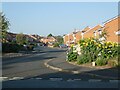 Junction of Leasowe Drive and The Parkway