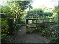 Path from Bluebell Walk to Wrottesley Park Road