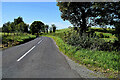 Bend ahead on Greenmount Road