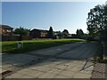 Grassy area by war memorial