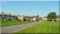 Road across the village green, Bainbridge