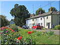 TL5842 : Ashdon: allotment dahlias and a colourful terrace by John Sutton