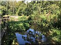 Small pond in Portland Park