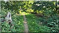 Path through Long Plantation