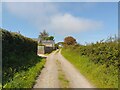 Footpath towards Bont Newydd