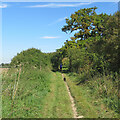 Byway north of Butlers Farm