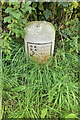 Old Milestone by the A594, south of Dearham