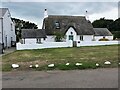 Pretty thatched cottage at Marloes