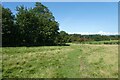 Bridleway east of Weatherhill Plantation