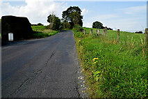 H5575 : Loughmacrory Road, Altdrumman by Kenneth  Allen