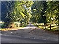 Tree-lined driveway to Park Farm