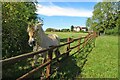 Footpath into Dunton