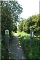 Rail trail near Marlborough Avenue