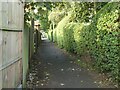 Path between Browning Grove and Upper Lake