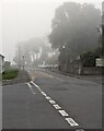 ST3090 : Foggy Pillmawr Road, Malpas, Newport by Jaggery