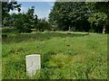 War grave in St Thomas