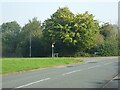 Junction of St Andrews Drive and The Parkway