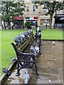 Pigeons On Bench