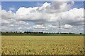 View across the fields near Laker Hall