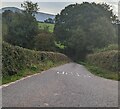 Minor road descending from the A479 near Pengenffordd, Powys