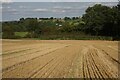 Harvested field on South Hill