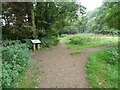 Junction of paths by the River Penk