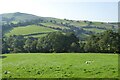 View to Foel Wylfa