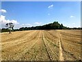 Footpath and Field of Stubble