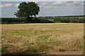 Harvested field on Smithy Moor