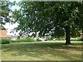 Grassy area off Jedburgh Avenue