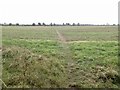 Field path near Dunholme