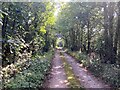 Track and Bridleway off Annesley Road