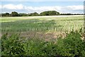 Farmland near Cherington