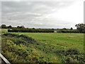 From a Swindon-Bristol train, flat landscape next to the railway