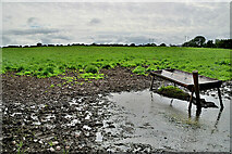 H5472 : A wet muddy field, Bracky by Kenneth  Allen