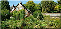 Walled Garden in the Woodbrooke Centre