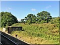 From a Swindon-Bristol train, lineside shed near Shockerwick