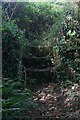 Steps leading up to the Iron Age Settlement