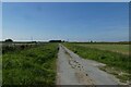 Harswell Lane west of Shiptonthorpe