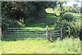 Double set of gates on farm track