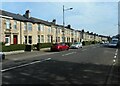 Houses on Auldhouse Road