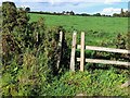 Squeeze stile below White House Farm