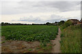 A field alongside the Selby Canal, Brayton