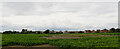 A field alongside the Selby Canal, Brayton